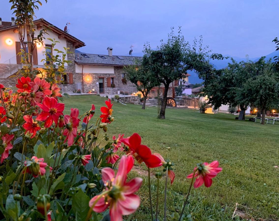 La Roggia - Lake Como Heritage Home In Molino Maufet Watermill - Patio On The Garden คอลีโก ภายนอก รูปภาพ